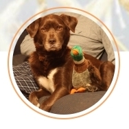 Fundraising Page: Jim Kloss